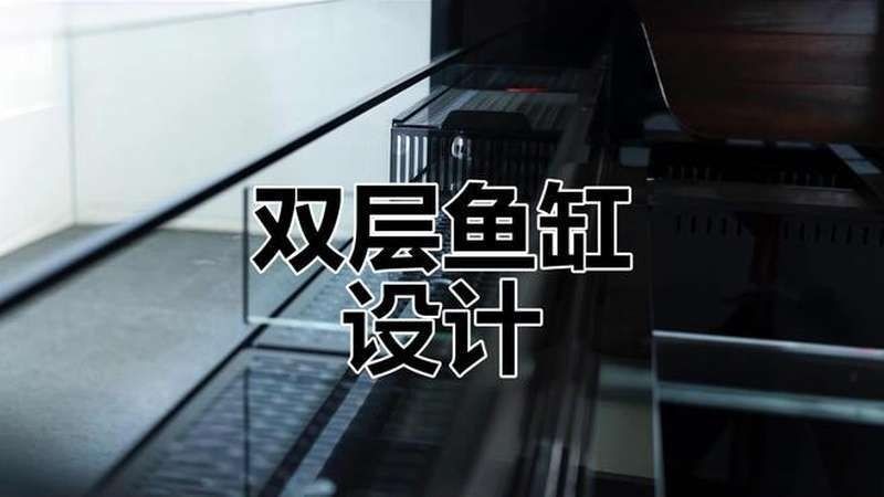 久鼎魚缸：*《久鼎魚缸：匠心打造水族藝術空間》