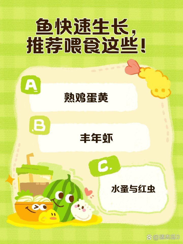 皇冠魚吃什么長得快：紅尾皇冠魚快速生長需結(jié)合科學(xué)喂養(yǎng)與科學(xué)管理