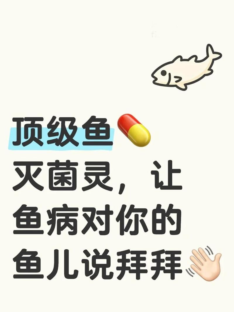 美國龍牌殺菌水治療魚爛身爛尾：美國龍牌殺菌水治療期間爛身爛身爛尾病的使用方案