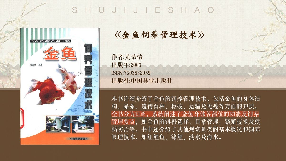 金魚是什么樣的：金魚形態與特征