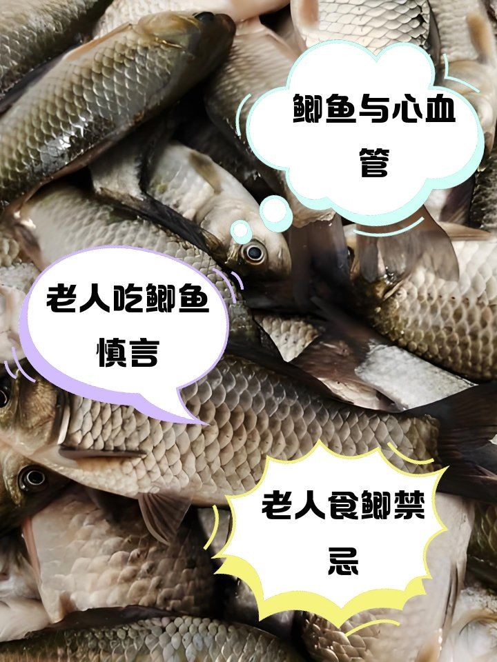 海南三角鯽為何要少吃：海南三角鯽作為熱帶淡水魚類食用需謹慎吃三角鯽魚