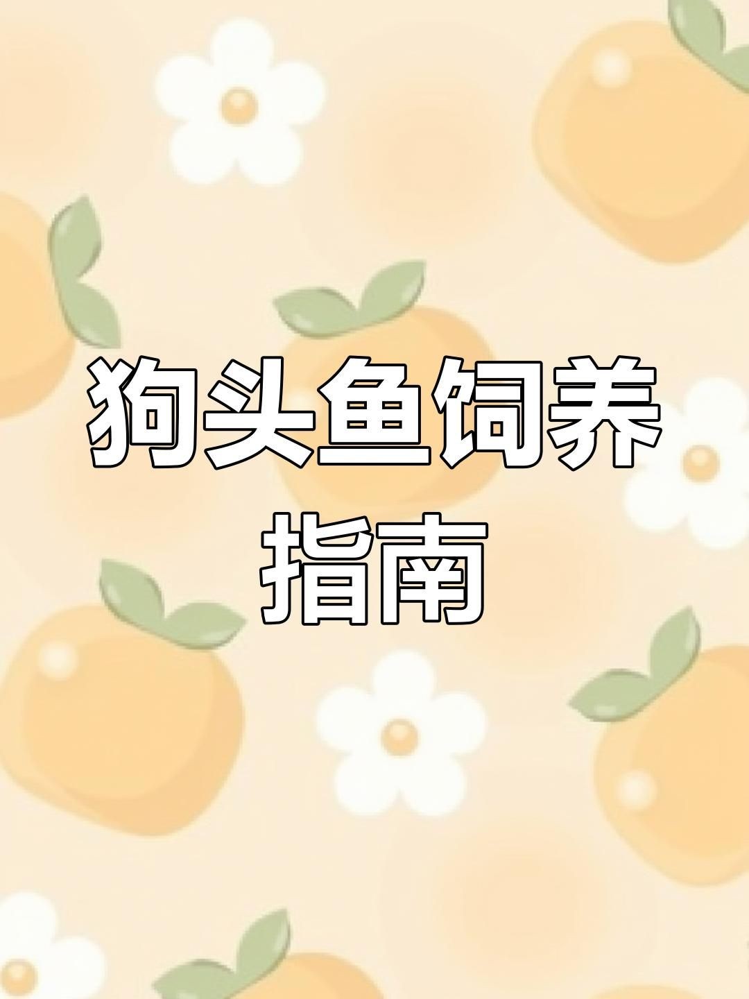 狗頭魚品種有哪些：常見狗頭魚品種介紹與飼養技巧