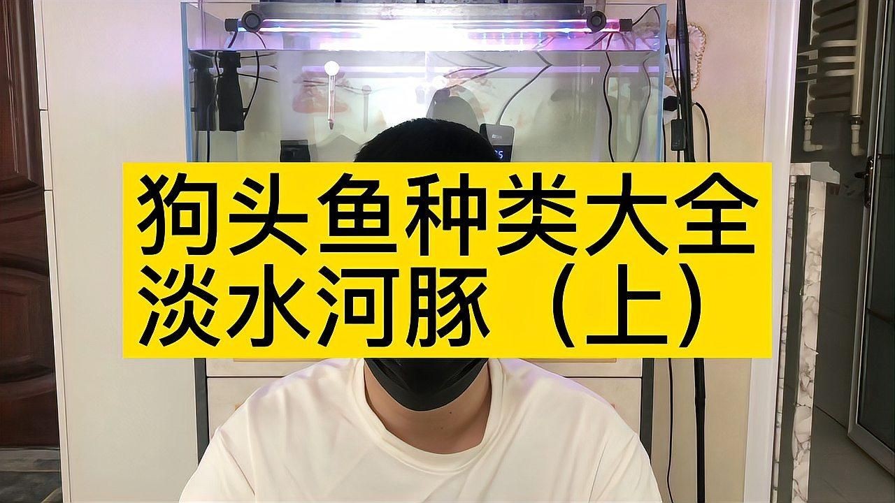 狗頭魚品種有哪些：常見狗頭魚品種介紹與飼養技巧