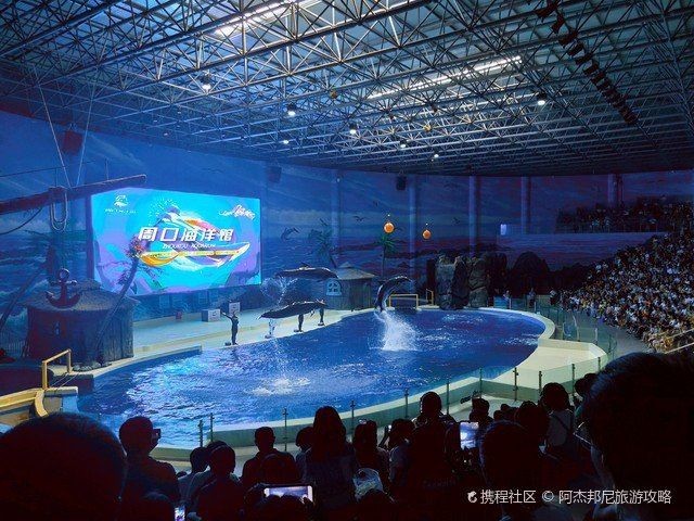 周口水族批發市場：**周口水族批發市場