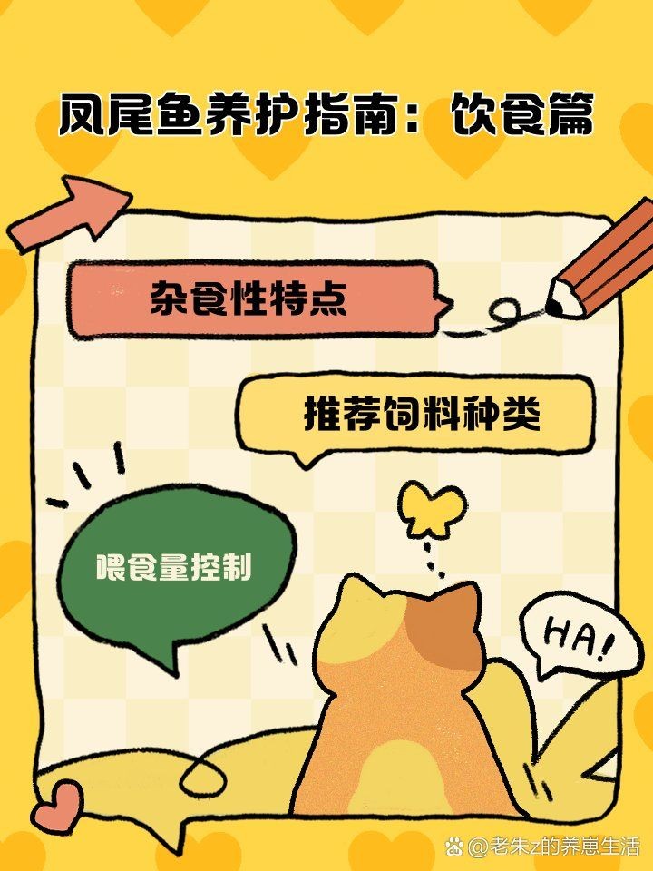剛下的小鳳尾魚怎么養：鳳尾魚幼魚喂養指南46,鳳尾魚怎么養成活率高