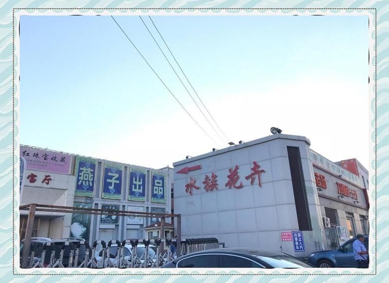 朝陽(yáng)水族批發(fā)市場(chǎng)：北京朝陽(yáng)水族批發(fā)市場(chǎng)