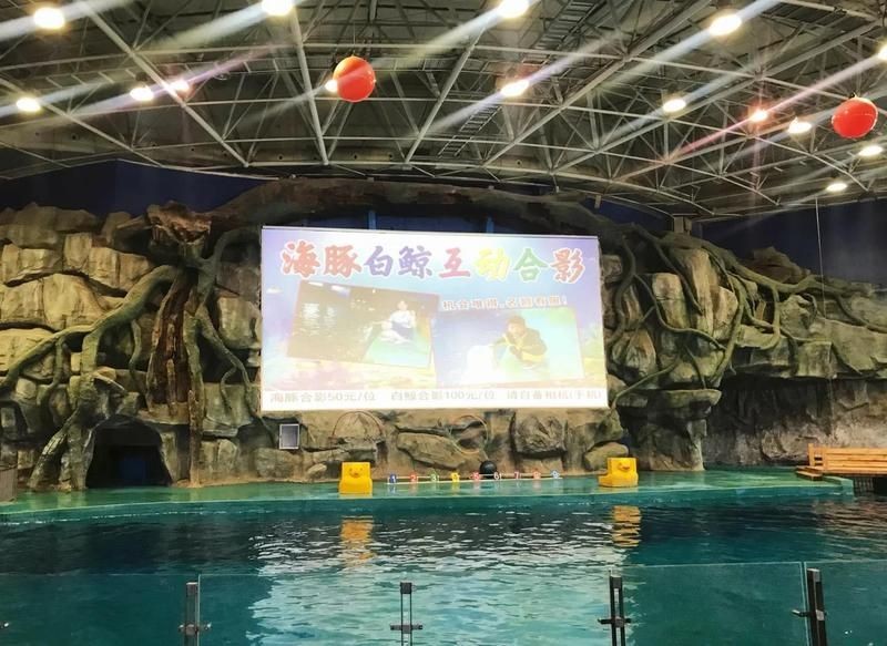威海水族店：**《威海水族店：海洋世界的微型窗口》 威海水族店：**《威海水族店：海洋世界的微型窗口》 全國水族館企業名錄 第4張