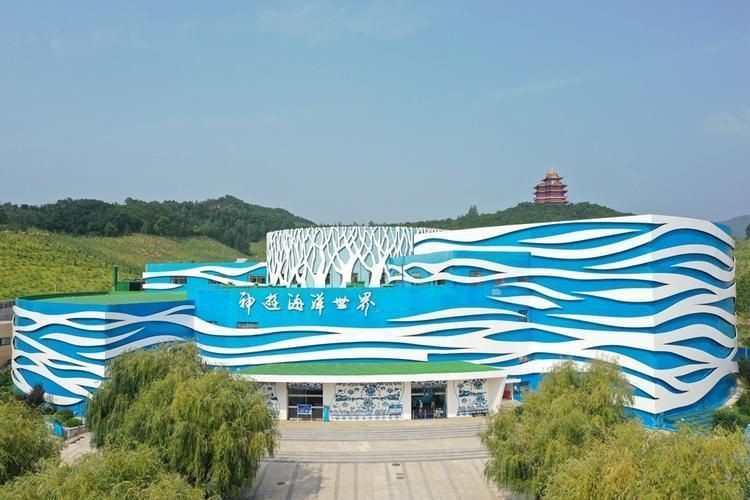 威海水族店：**《威海水族店：海洋世界的微型窗口》 威海水族店：**《威海水族店：海洋世界的微型窗口》 全國水族館企業名錄 第8張