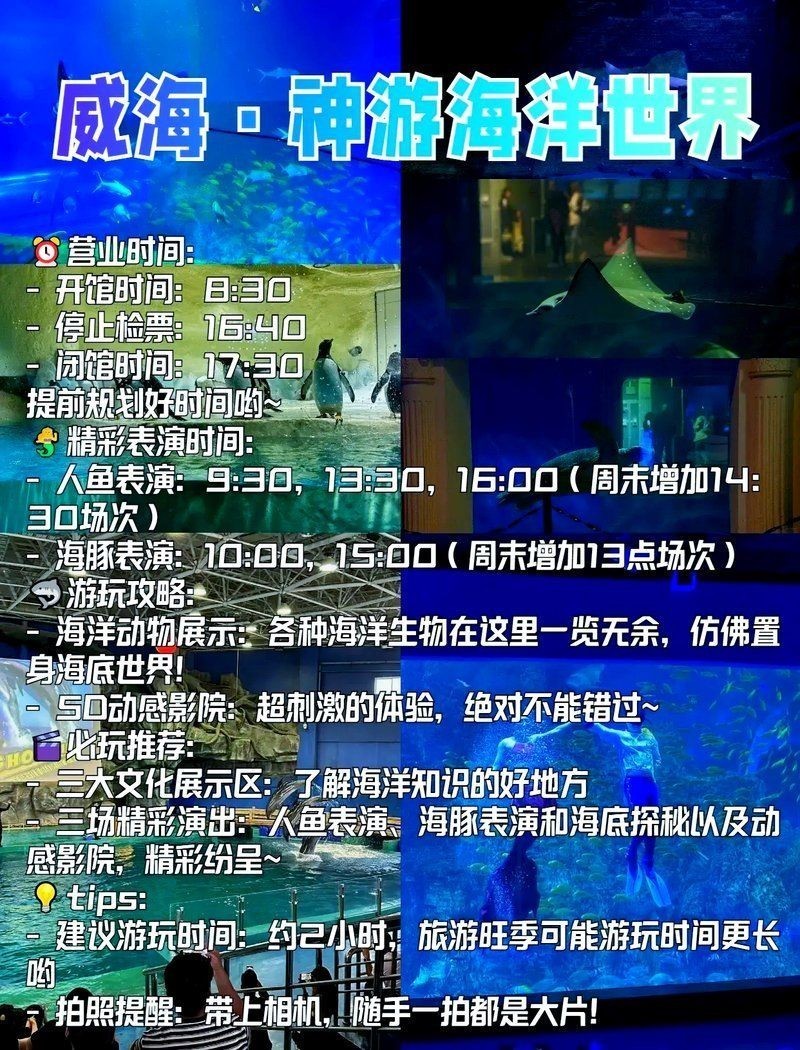 威海水族店：**《威海水族店：海洋世界的微型窗口》 威海水族店：**《威海水族店：海洋世界的微型窗口》 全國水族館企業名錄 第10張