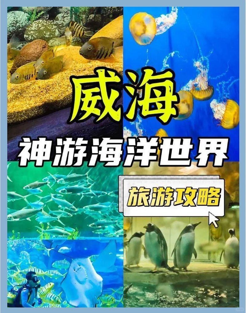 威海水族店：**《威海水族店：海洋世界的微型窗口》 威海水族店：**《威海水族店：海洋世界的微型窗口》 全國水族館企業名錄 第14張