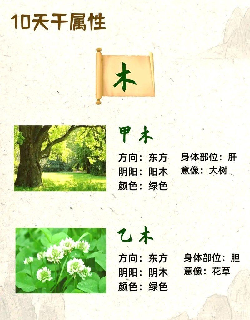 金木水火土風雨雷電十二元素：“金木水火土風雨雷電”十二元素融合了中國傳統五行思想與自然氣象意象