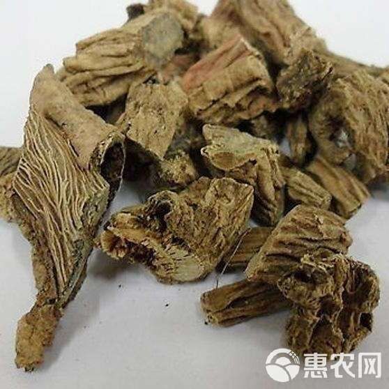 和尚頭多少錢1公斤：“和尚頭”1公斤價格多少錢？