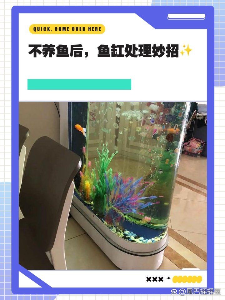 舊魚缸改造100種方法：《舊魚缸改造100種方法》模擬深海于將閑置或廢棄的魚缸