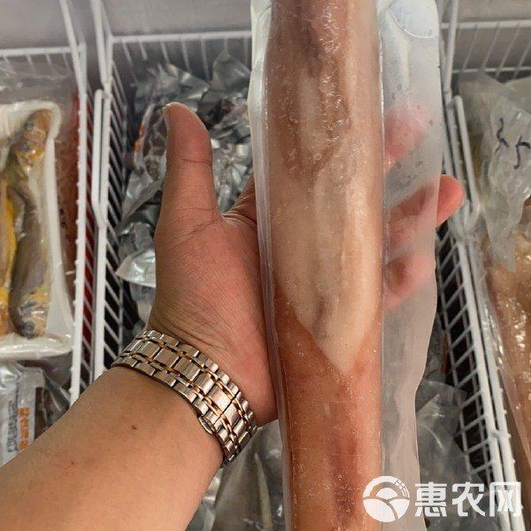 皇家火箭魚多少錢一斤:“皇家火箭魚”是什么品種? 龍魚論壇 第3張 皇家火箭魚多少錢一斤:“皇家火箭魚”是什么品種? 皇家火箭魚多少錢一斤:“皇家火箭魚”是什么品種? 龍魚論壇 第3張