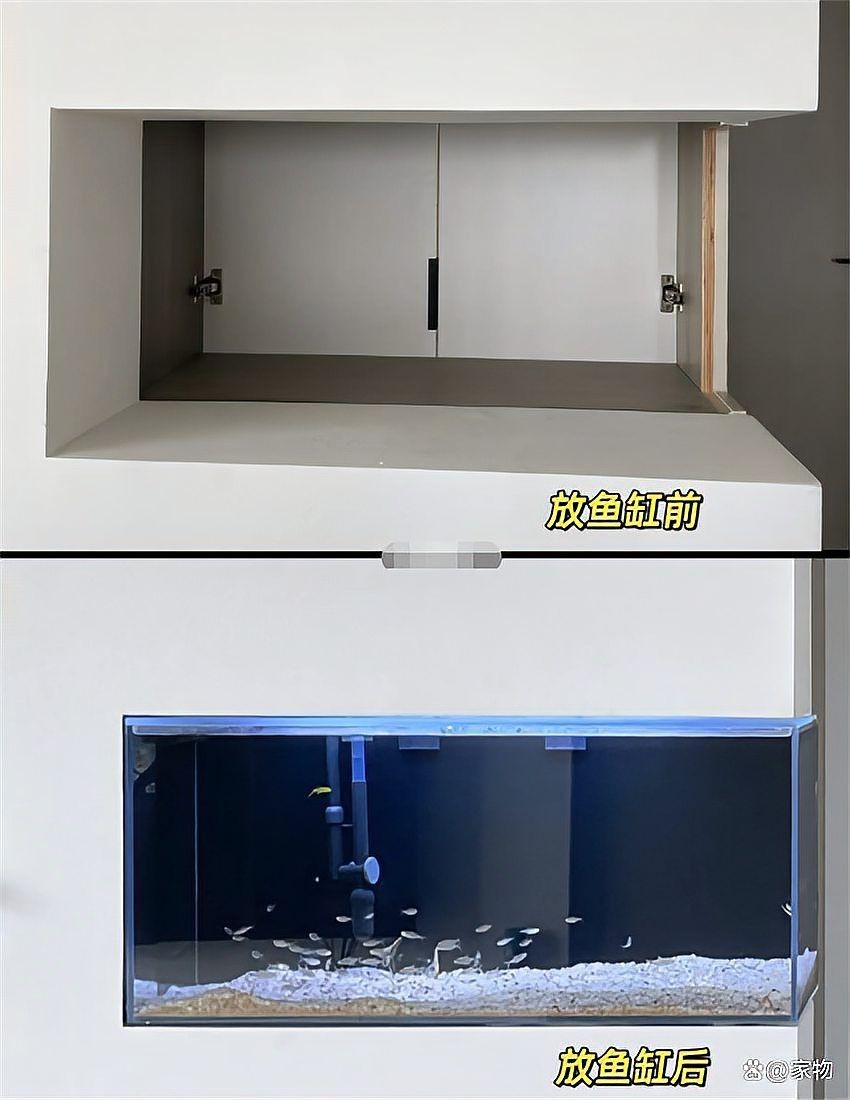 梅州魚缸定做:梅州酒店魚缸設計-豐冀水族 全國水族館企業名錄 第1張 梅州魚缸定做:梅州酒店魚缸設計-豐冀水族 梅州魚缸定做:梅州酒店魚缸設計-豐冀水族 全國水族館企業名錄 第1張