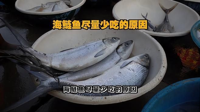 吉印水族APP有哪些功能？，吉印水族app有哪些用戶評價吉印水族app常用功能操作指南 吉印水族APP有哪些功能？，吉印水族app有哪些用戶評價吉印水族app常用功能操作指南 龍魚百科 第2張