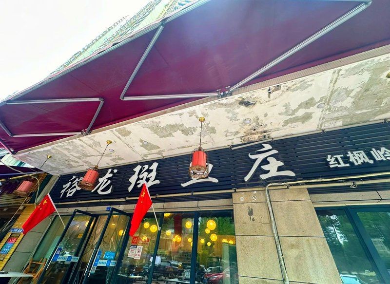 成都龍魚店：成都龍魚店開個(gè)龍魚店需要多少錢創(chuàng)業(yè)機(jī)遇等你抓