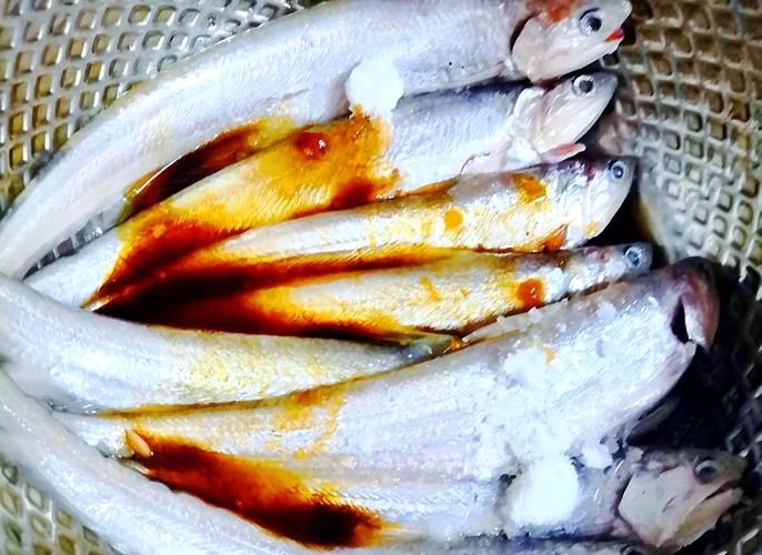 河刀魚圖片：河刀魚,人間珍品溫柔淑女