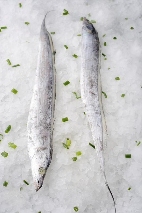 河刀魚圖片：河刀魚,人間珍品溫柔淑女