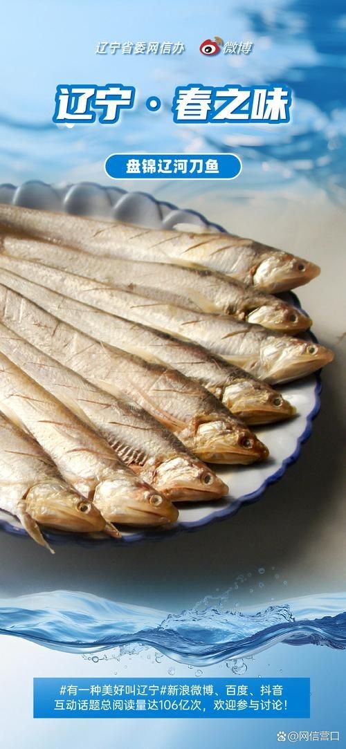 河刀魚圖片：河刀魚,人間珍品溫柔淑女