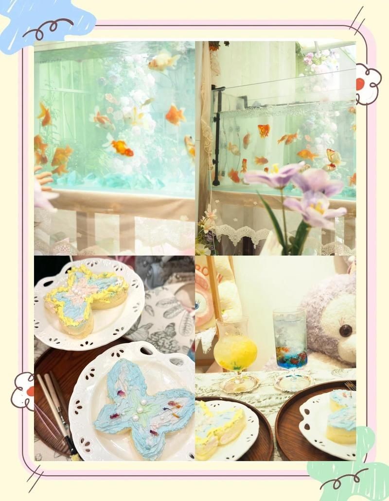 平頂山魚缸店：平頂山專業魚缸店
