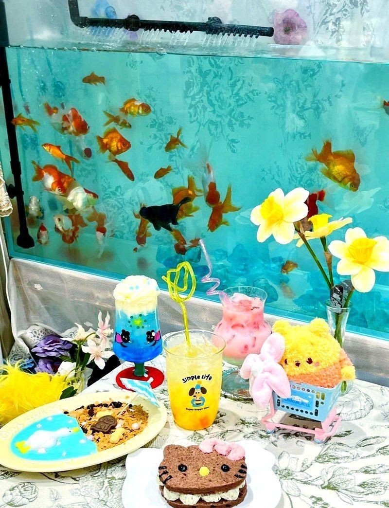平頂山魚缸店：平頂山專業魚缸店