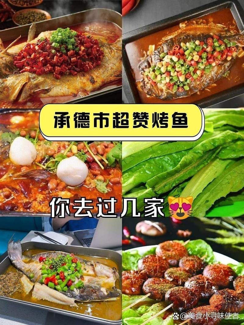 承德龍魚店：承德地區烤魚店綜合推薦與探店指南 承德龍魚店：承德地區烤魚店綜合推薦與探店指南 全國水族館企業名錄 第5張