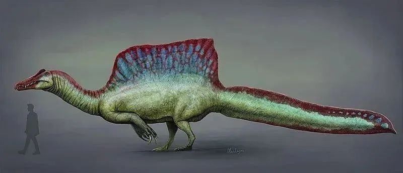 棘龍誰更厲害：《當(dāng)代生物學(xué)》棘龍與霸王龍的巔峰對(duì)決，霸王龍與霸王龍