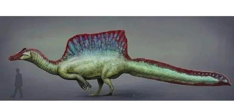 棘龍誰更厲害：《當(dāng)代生物學(xué)》棘龍與霸王龍的巔峰對(duì)決，霸王龍與霸王龍