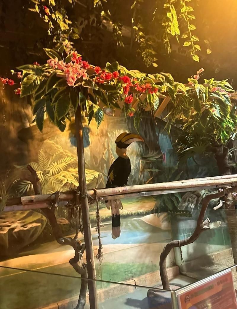 寶雞水族館：*《寶雞水族館》*攜程攻略及注意事項