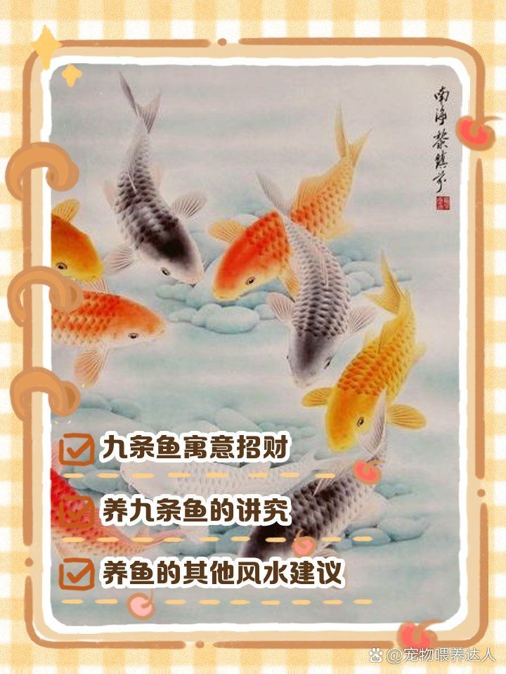 九條魚最建議買的顏色：九條魚的顏色選擇 九條魚最建議買的顏色：九條魚的顏色選擇 龍魚百科 第3張