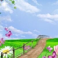 廣東埃及魚最不值錢三個地方：埃及塘鲺在廣東的價格低迷 廣東埃及魚最不值錢三個地方：埃及塘鲺在廣東的價格低迷 全國水族館企業名錄 第12張
