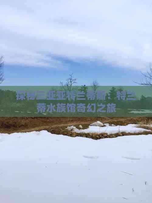 三亞水族店：*《三亞水族店》*，三亞水族館 三亞水族店：*《三亞水族店》*，三亞水族館 全國水族館企業名錄 第1張