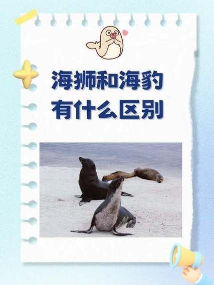 海獅海象海豹圖片：海獅、海象與海豹三類典型海洋哺乳動物中的三巨頭