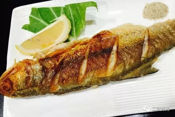 金貓魚盡量少吃的原因：專家建議盡量少吃金貓魚