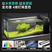 本溪魚缸店：本溪專業魚缸店