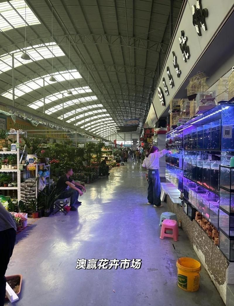 呼和浩特魚缸批發市場：呼和浩特魚缸批發市場發展趨勢 呼和浩特魚缸批發市場：呼和浩特魚缸批發市場發展趨勢 全國水族館企業名錄 第3張