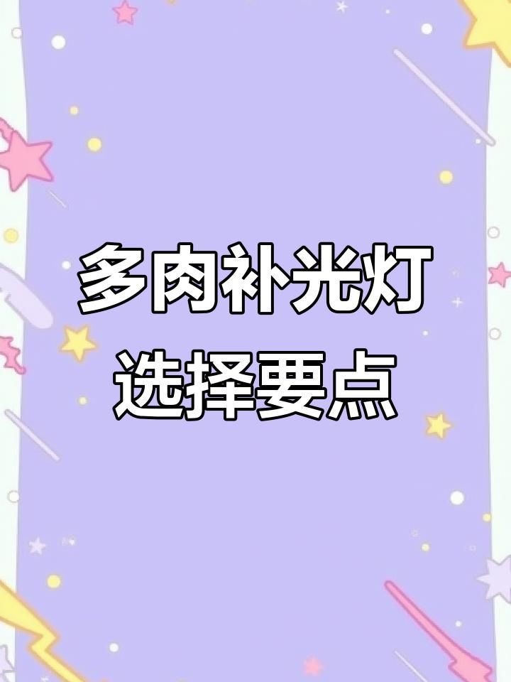 買補(bǔ)光燈的十大忠告：**《買補(bǔ)光燈的十大忠告》