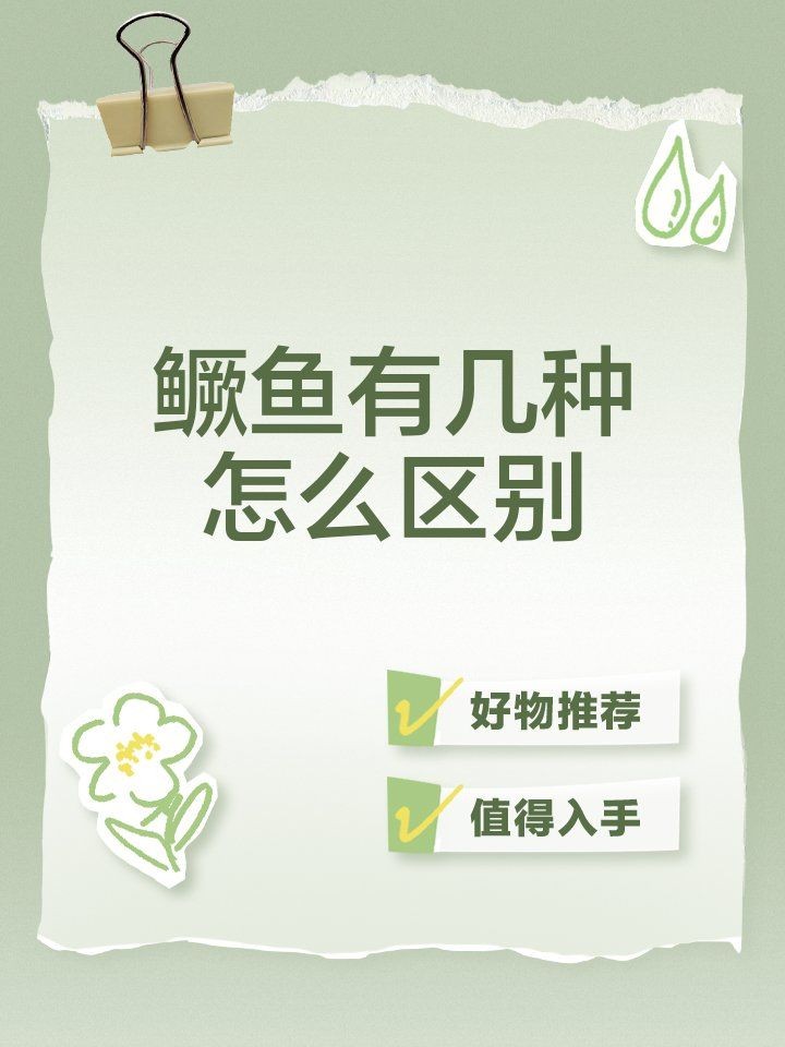 桂魚和老虎魚一樣嗎：如何區分桂魚和老虎魚 桂魚和老虎魚一樣嗎：如何區分桂魚和老虎魚 全國水族館企業名錄 第8張