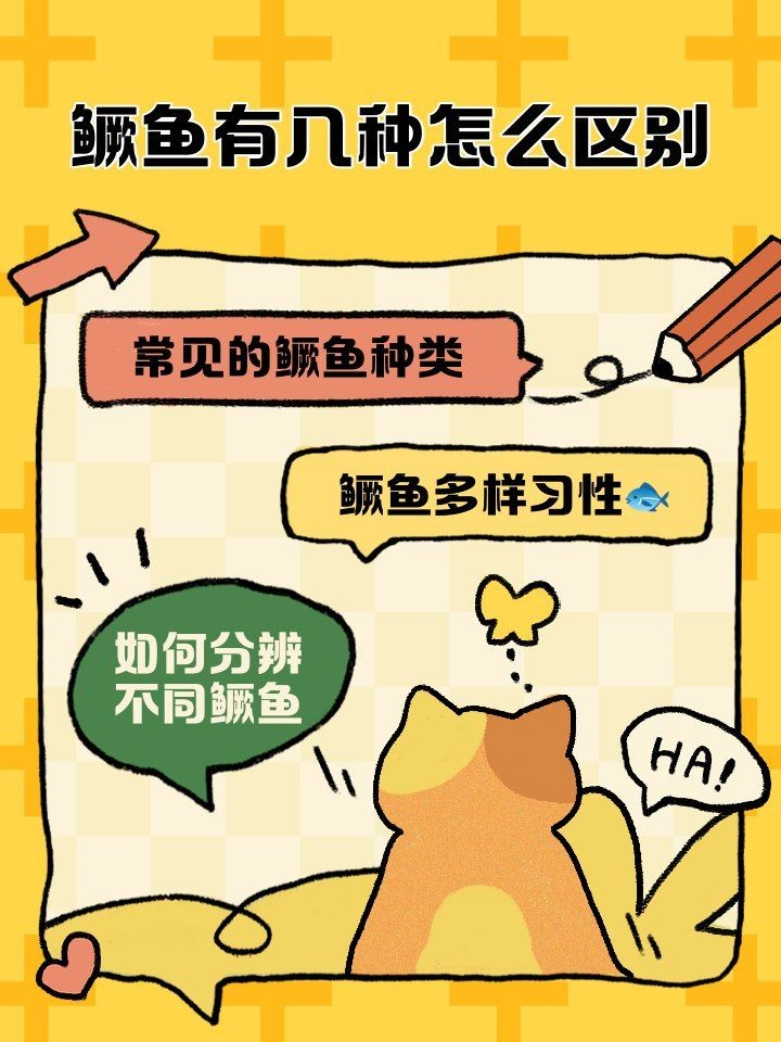 桂魚和老虎魚一樣嗎：如何區分桂魚和老虎魚 桂魚和老虎魚一樣嗎：如何區分桂魚和老虎魚 全國水族館企業名錄 第6張
