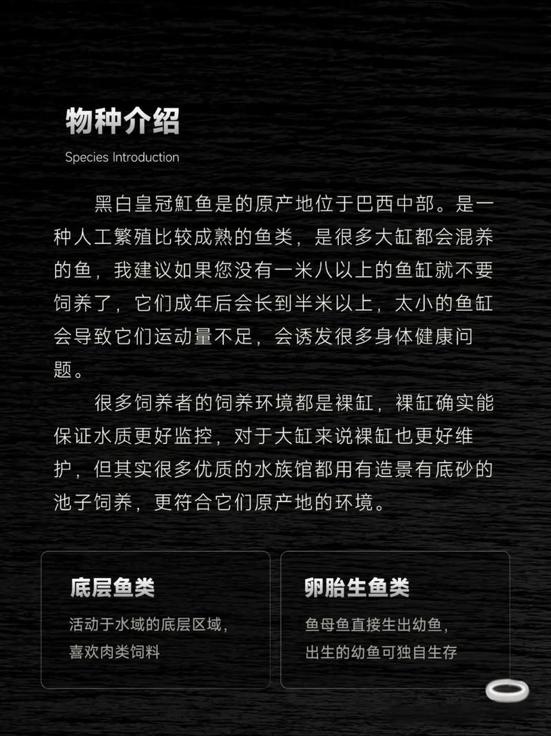皇冠魟魚一胎生小魚詳細說明圖解:關于皇冠魟魚繁殖的詳細說明 龍魚論壇 第6張 皇冠魟魚一胎生小魚詳細說明圖解:關于皇冠魟魚繁殖的詳細說明 皇冠魟魚一胎生小魚詳細說明圖解:關于皇冠魟魚繁殖的詳細說明 龍魚論壇 第6張