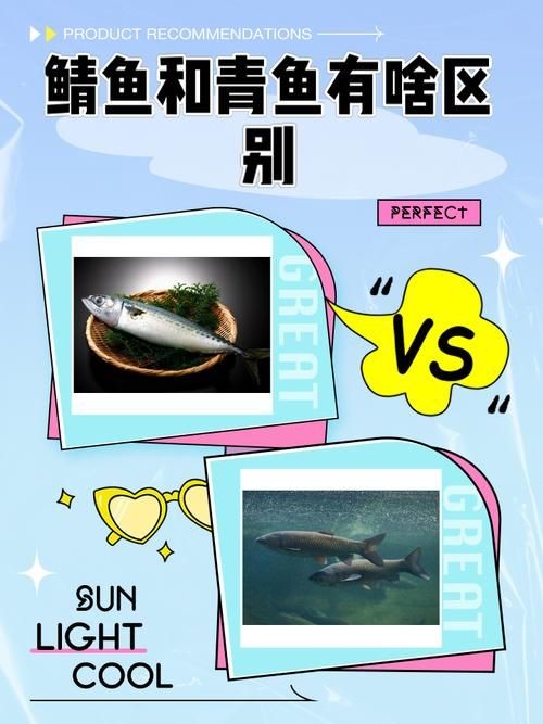 懷孕的魟魚和正常魟魚圖片對(duì)比：如何辨別懷孕魟魚是否懷孕 懷孕的魟魚和正常魟魚圖片對(duì)比：如何辨別懷孕魟魚是否懷孕 龍魚論壇 第19張