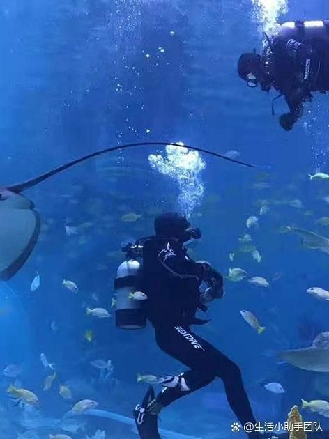 恩施土家族苗族自治州水族館：恩施土家族自治州首座主題海洋館