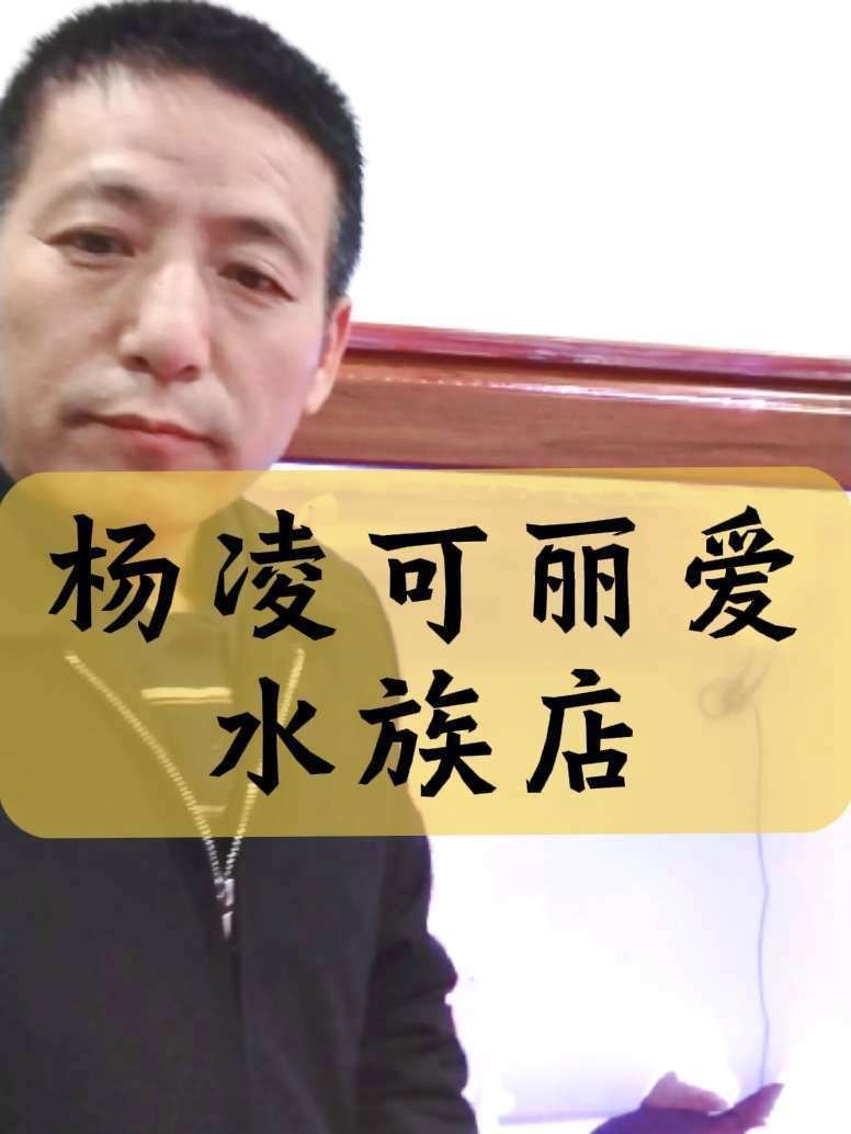 楊凌水族批發市場：楊凌水族批發市場發展趨勢