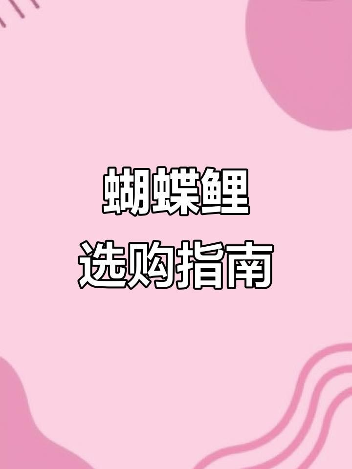 七鰭魚品種介紹：七鰭魚是一類具有獨特形態與鮮明色彩的熱帶淡水魚類 七鰭魚品種介紹：七鰭魚是一類具有獨特形態與鮮明色彩的熱帶淡水魚類 龍魚百科 第6張