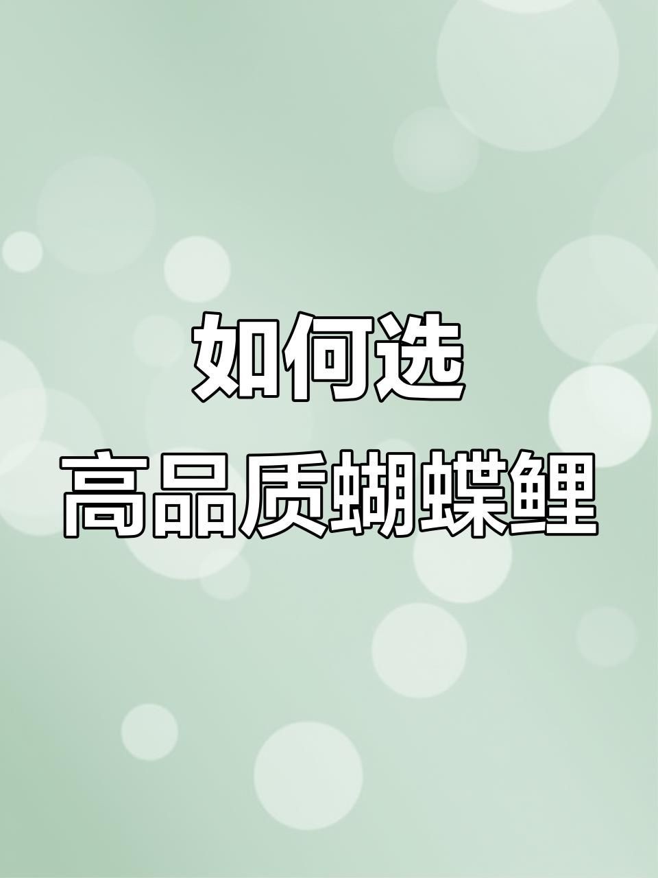 七鰭魚品種介紹：七鰭魚是一類具有獨特形態與鮮明色彩的熱帶淡水魚類 七鰭魚品種介紹：七鰭魚是一類具有獨特形態與鮮明色彩的熱帶淡水魚類 龍魚百科 第7張