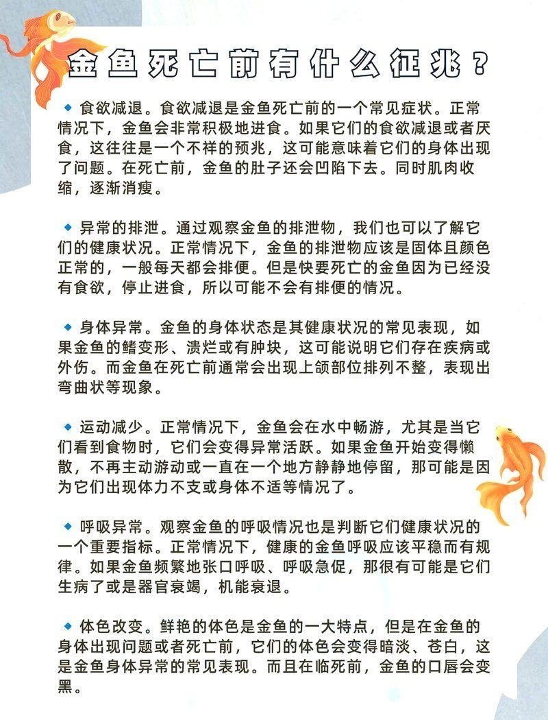 狗頭魚要死的前兆：養魚老道，狗狗臨終前的五個征兆，主人必看，寂寞行者過客自成畫卷