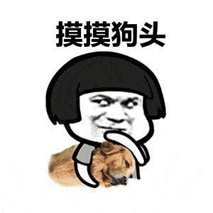 狗頭魚是河豚嗎：狗頭魚與河豚的區(qū)別 狗頭魚是河豚嗎：狗頭魚與河豚的區(qū)別 龍魚論壇 第1張