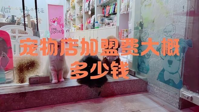 加盟寵物店大概多少錢：寵物店加盟費大概多少錢