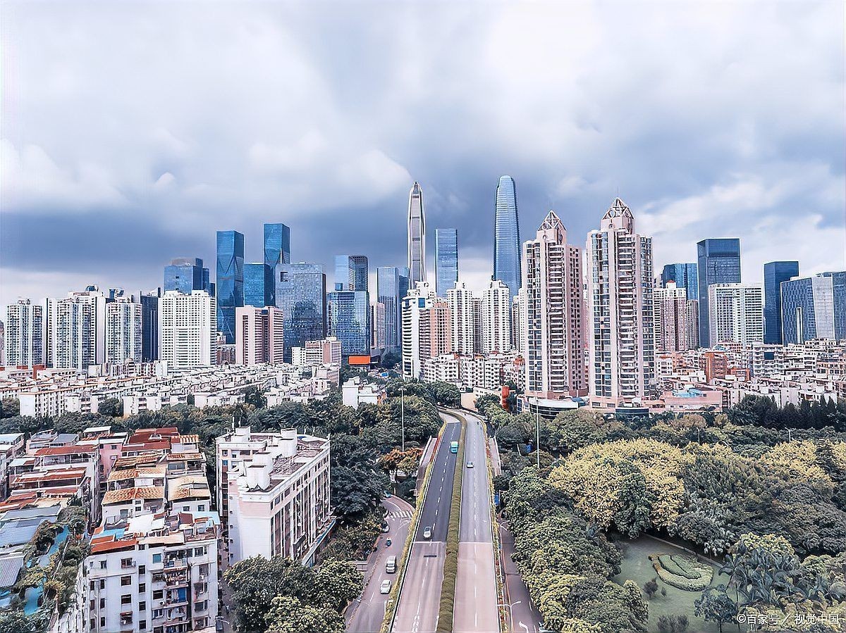 上海拍賣市場行情分析：2025年5月上海滬牌拍賣結果分析 上海拍賣市場行情分析：2025年5月上海滬牌拍賣結果分析 龍魚百科 第2張